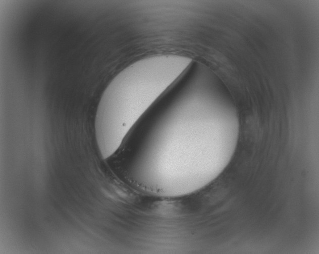 X0000070200320200605261043