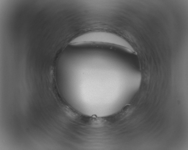 X0000070200321200605261043