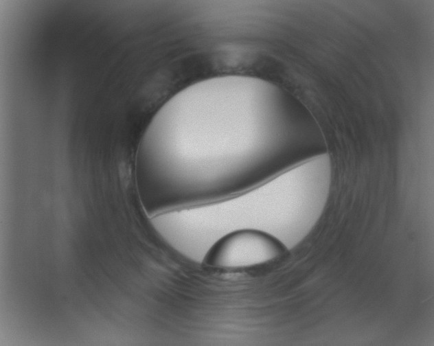 X0000070200324200605261043