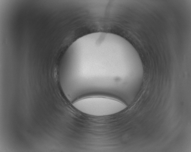 X0000070200336200605261042