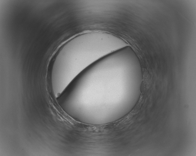 X0000070200338200605261042