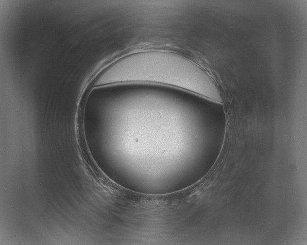 X0000070200340200605261042