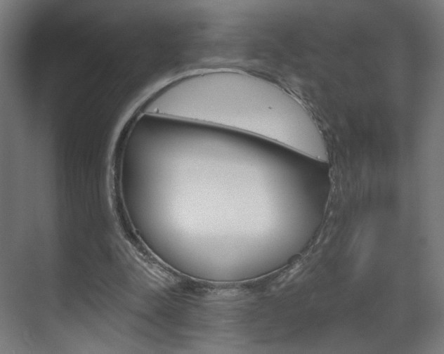 X0000070200342200605261042