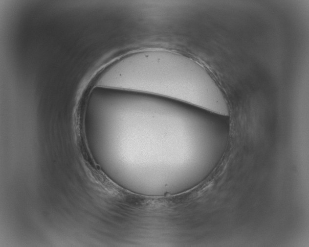 X0000070200343200605261042
