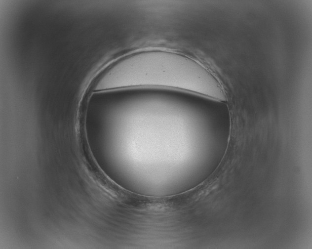 X0000070200344200605261042