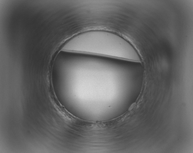 X0000070200345200605261042