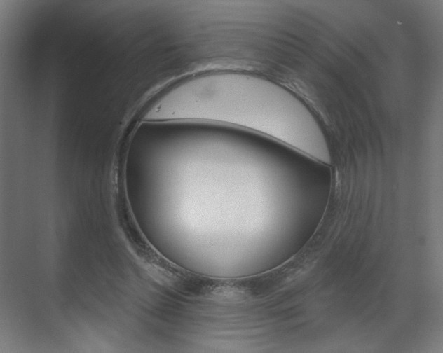 X0000070200348200605261042