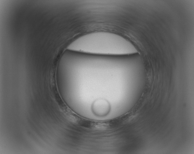 X0000070200359200605261042