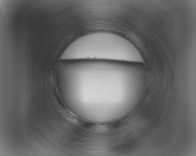 X0000070200361200605261042