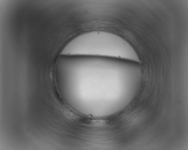 X0000070200363200605261042