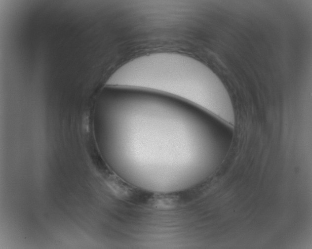 X0000070200368200605261042