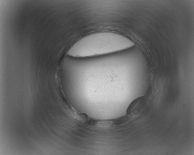 X0000070200373200605261042