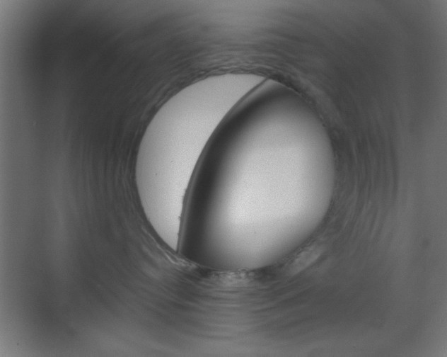 X0000070200384200605261042