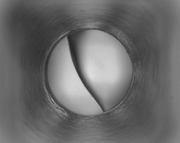 X0000070200386200605261041