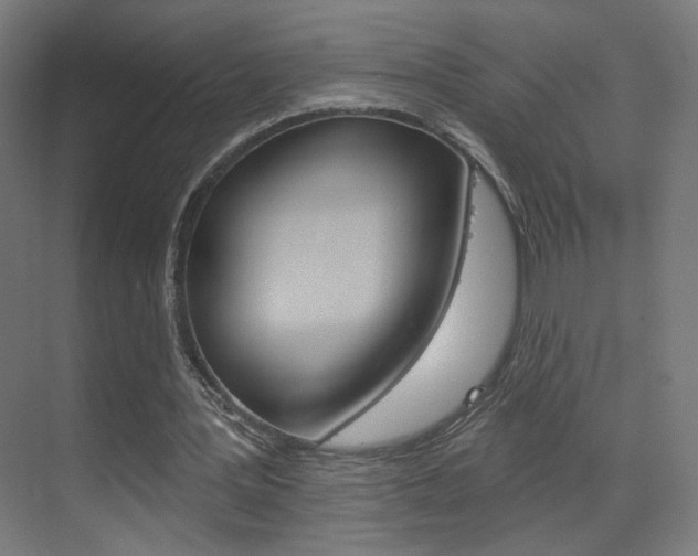 X0000070200387200605261041