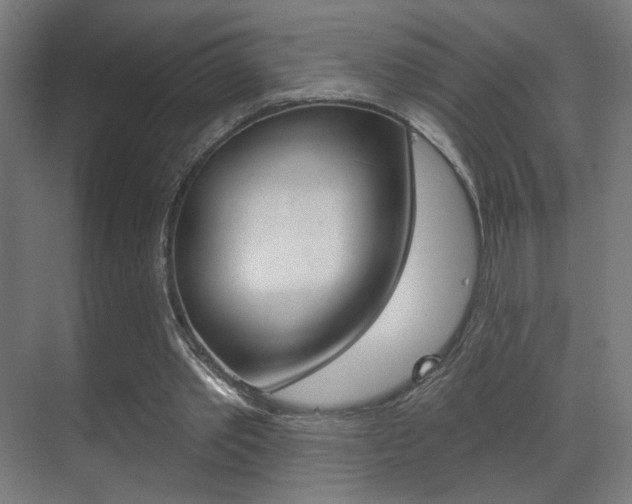 X0000070200389200605261041