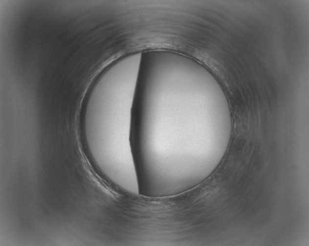 X0000070200390200605261041