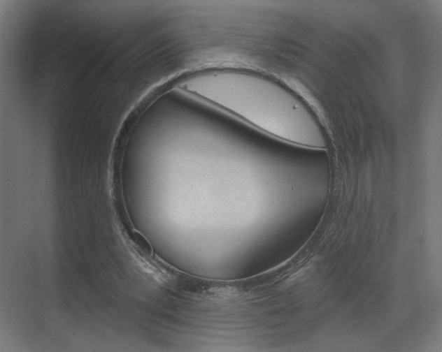 X0000070200391200605261041