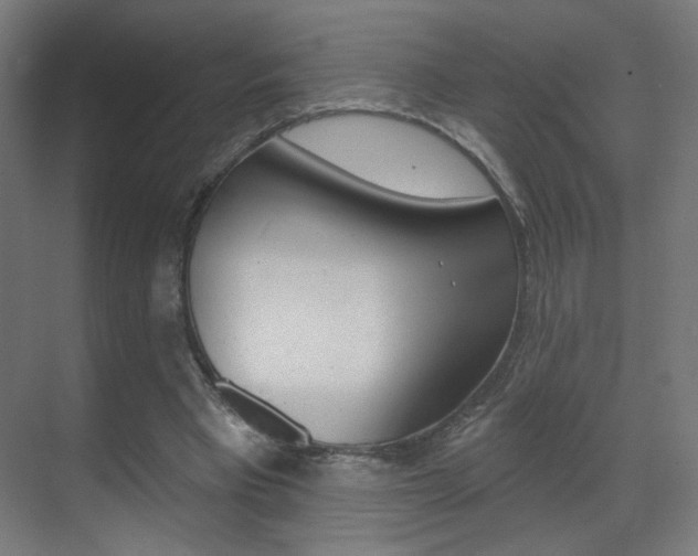 X0000070200393200605261041