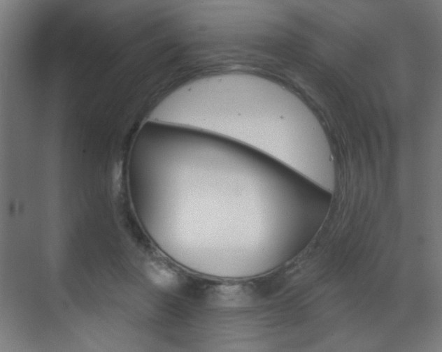 X0000070200406200605261041
