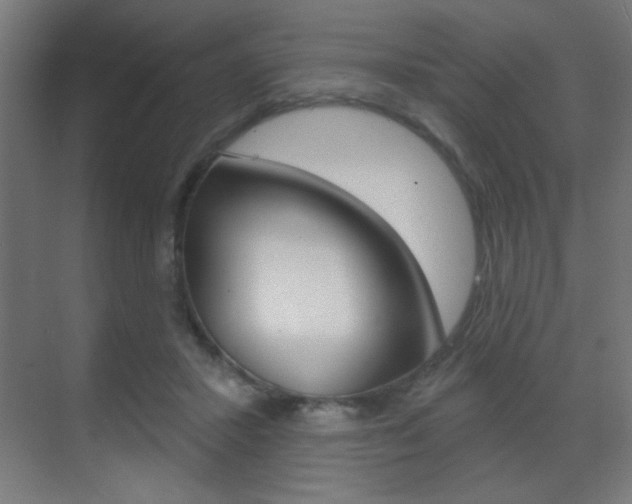 X0000070200407200605261041