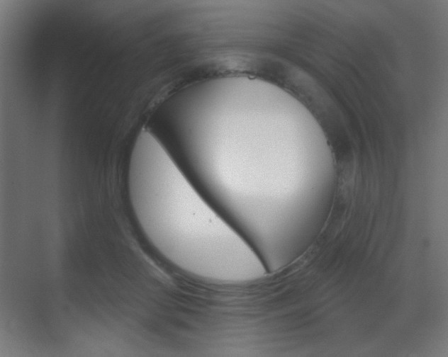 X0000070200410200605261041