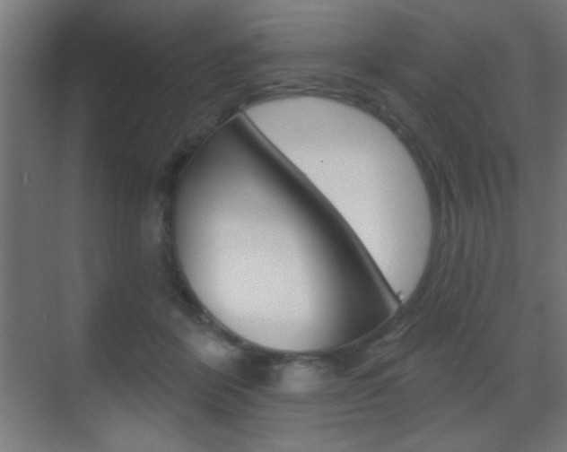 X0000070200412200605261041