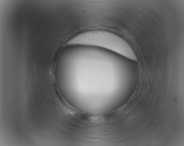 X0000070200415200605261041