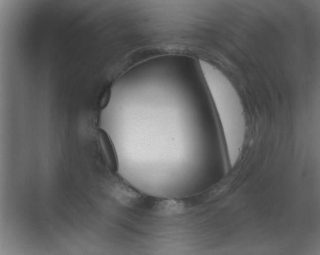 X0000070200421200605261041
