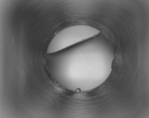 X0000070200422200605261041