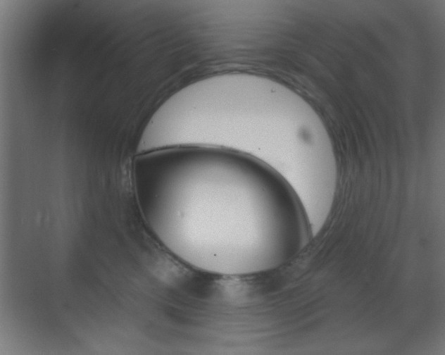 X0000070200425200605261041