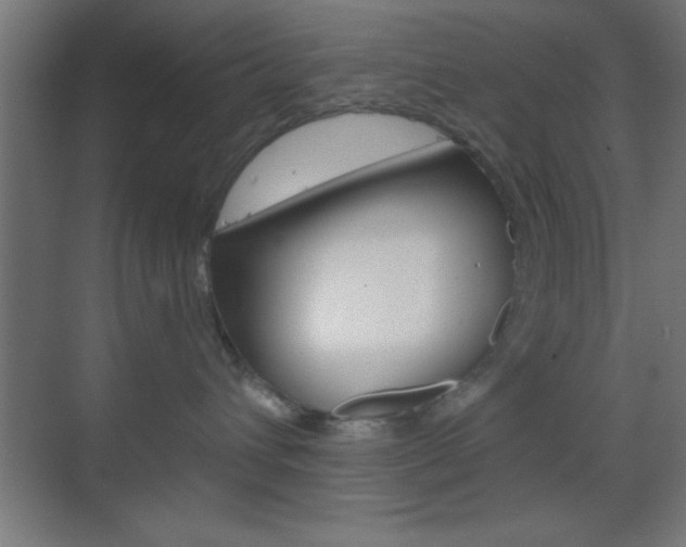 X0000070200432200605261041