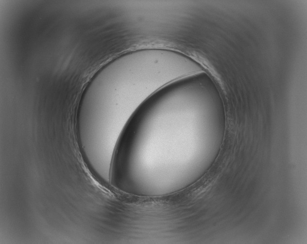 X0000070200433200605261040