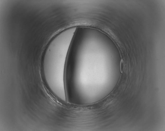 X0000070200434200605261040