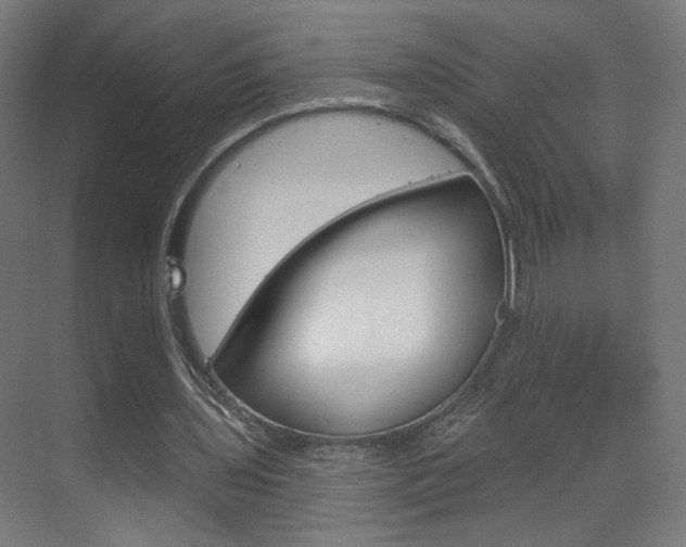 X0000070200435200605261040
