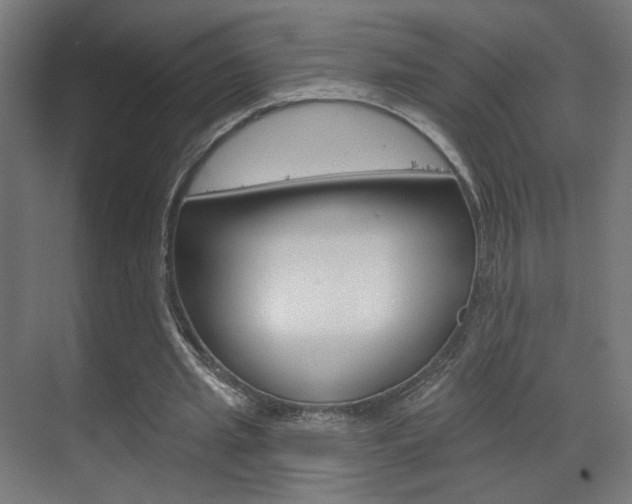 X0000070200437200605261040