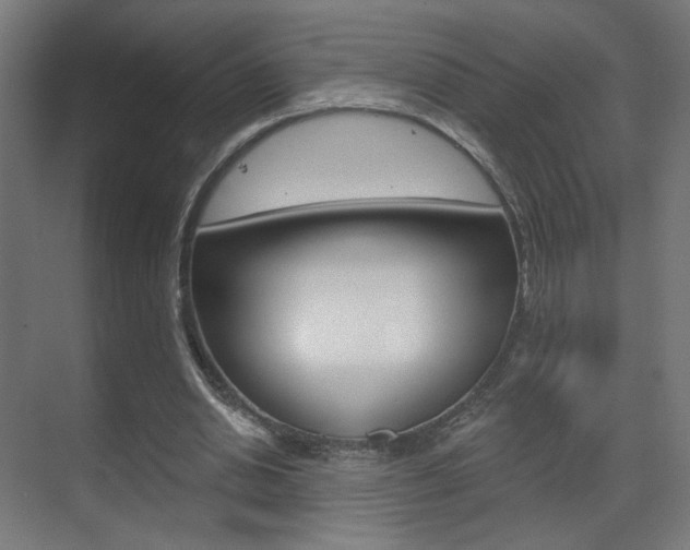 X0000070200438200605261040