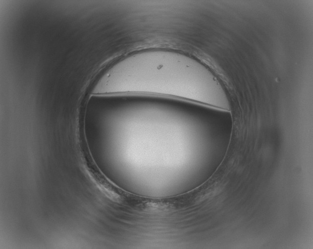 X0000070200442200605261040