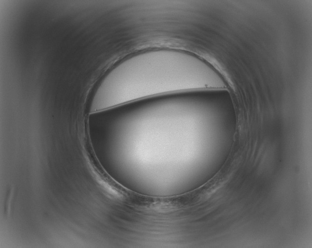 X0000070200445200605261040