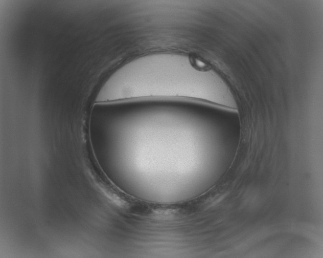X0000070200450200605261040