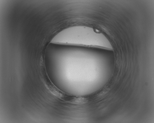 X0000070200459200605261040