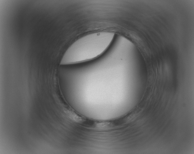 X0000070200461200605261040