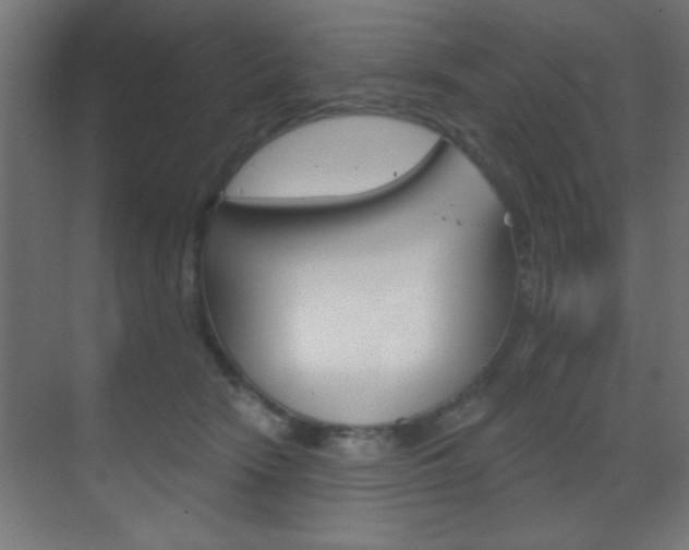 X0000070200466200605261040
