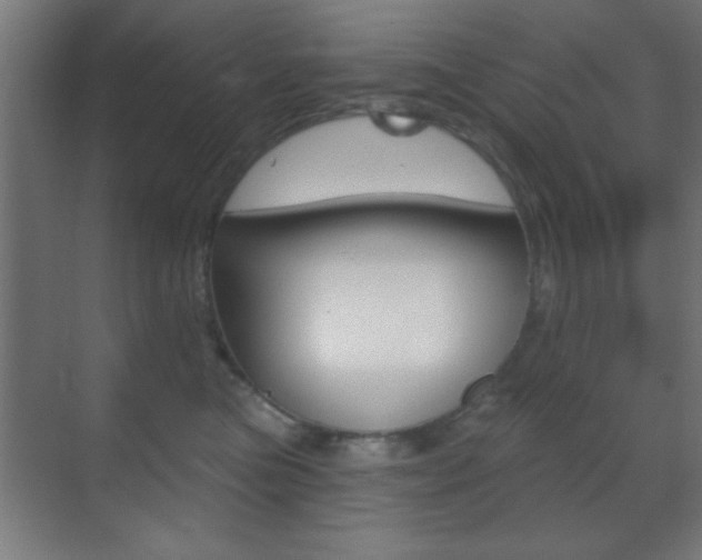 X0000070200473200605261041