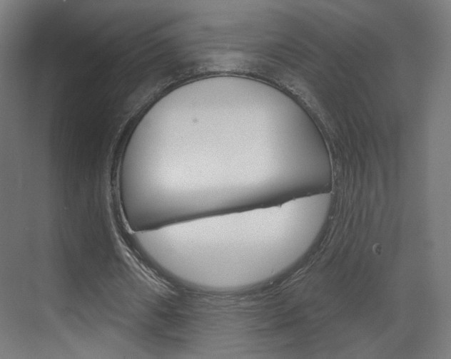 X0000070200482200605261040