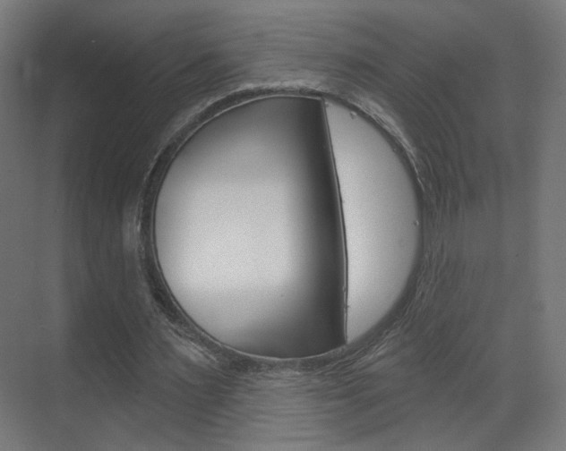 X0000070200483200605261040