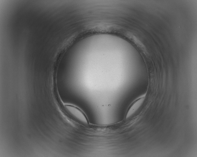 X0000070200493200605261040