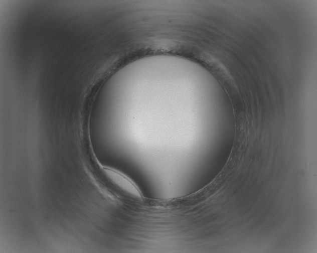 X0000070200496200605261040