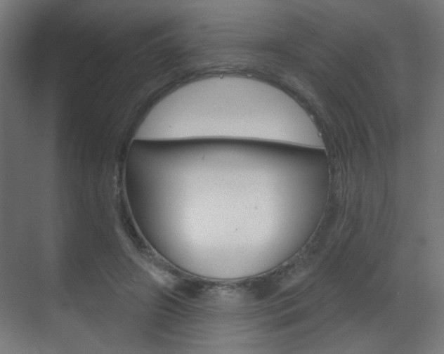 X0000070200498200605261040
