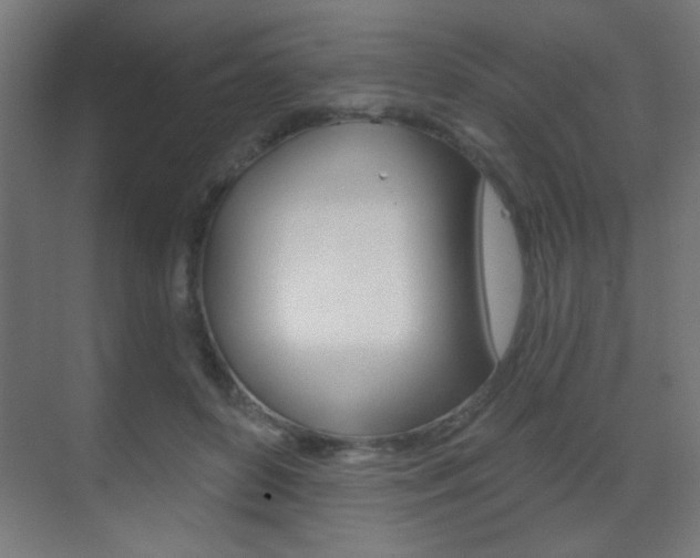 X0000070200504200605261039